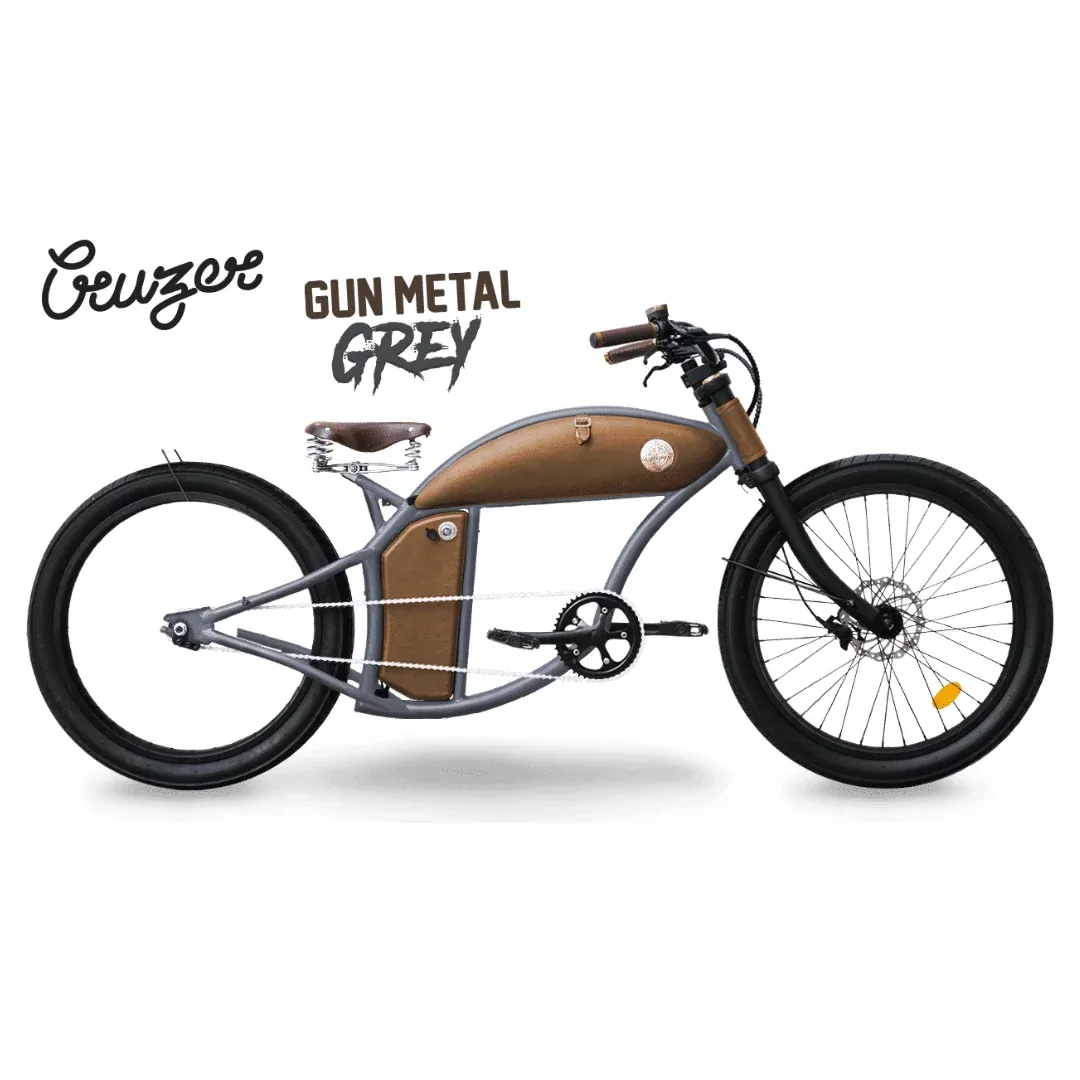 *CLOSEOUT* Rayvolt Cruzer - *Please Email To Order*