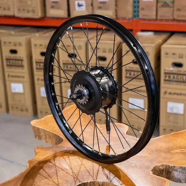 Zooz Rear Wheel + Motor Assembly – OEM Replacement (All Models)
